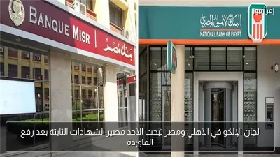 لجان الإلكو في الأهلي ومصر تبحث الأحد مصير الشهادات الثابتة بعد رفع الفائدة