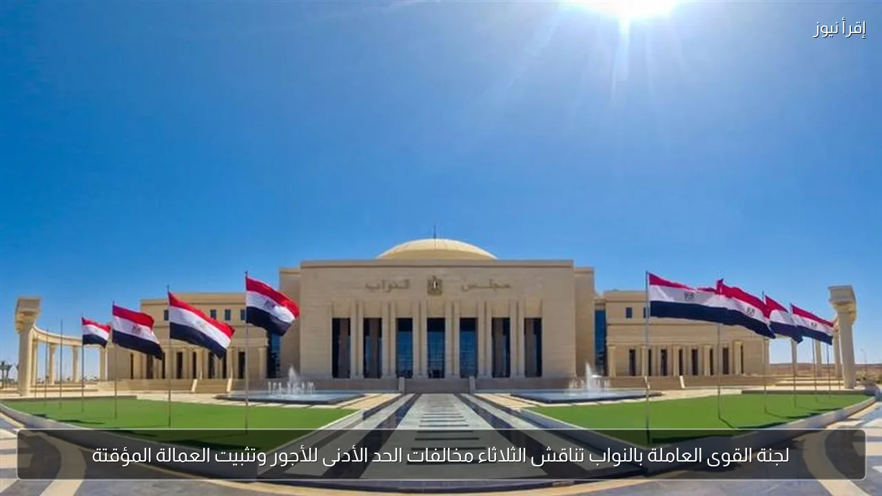 لجنة القوى العاملة بالنواب تناقش الثلاثاء مخالفات الحد الأدنى للأجور وتثبيت العمالة المؤقتة