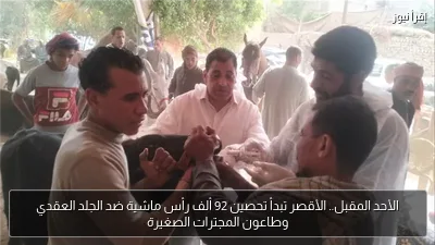 الأحد المقبل.. الأقصر تبدأ تحصين 92 ألف رأس ماشية ضد الجلد العقدي وطاعون المجترات الصغيرة