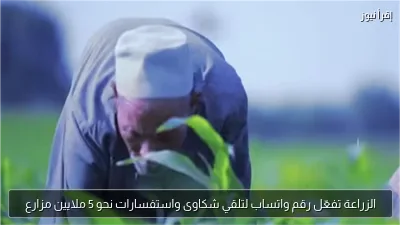 الزراعة تفعّل رقم واتساب لتلقي شكاوى واستفسارات نحو 5 ملايين مزارع