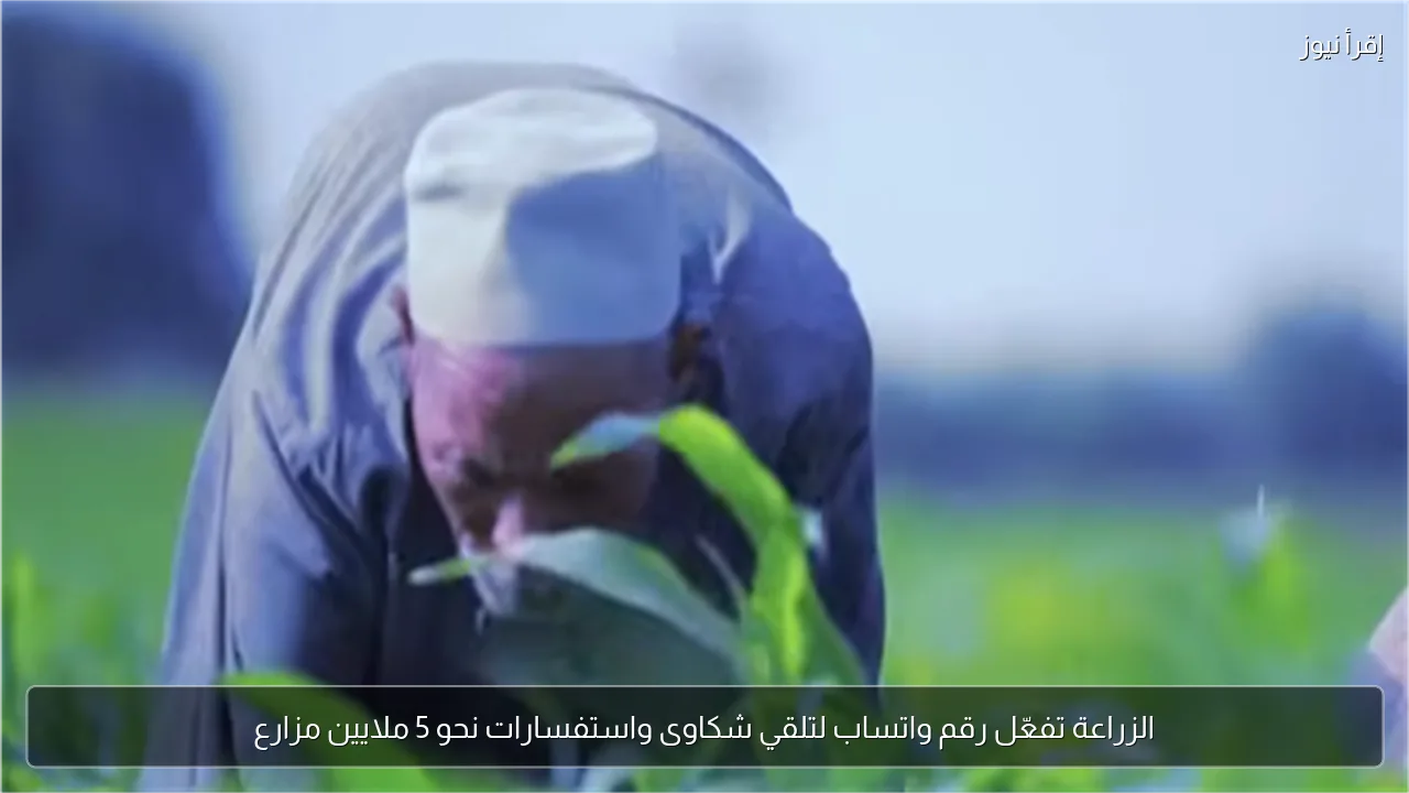 الزراعة تفعّل رقم واتساب لتلقي شكاوى واستفسارات نحو 5 ملايين مزارع