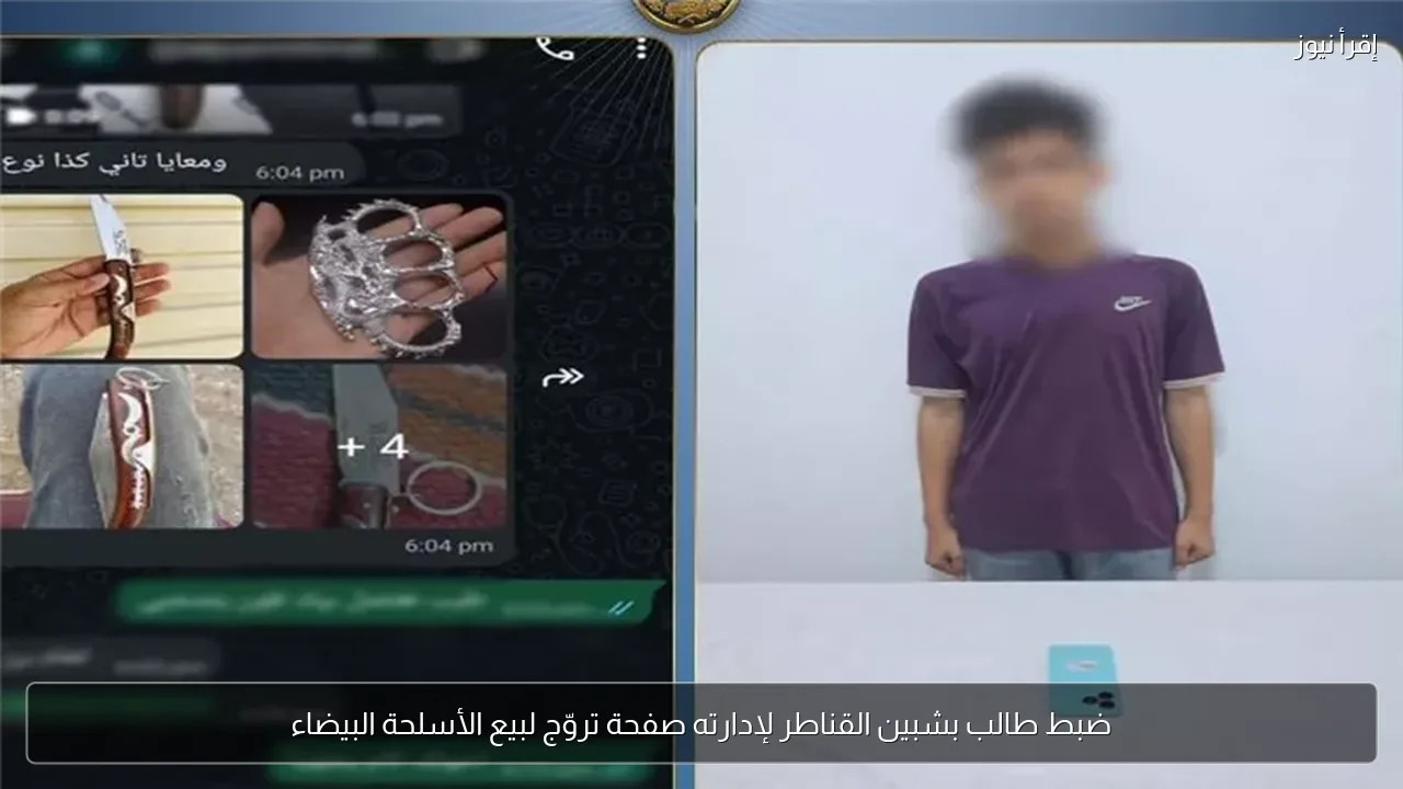 ضبط طالب بشبين القناطر لإدارته صفحة تروّج لبيع الأسلحة البيضاء