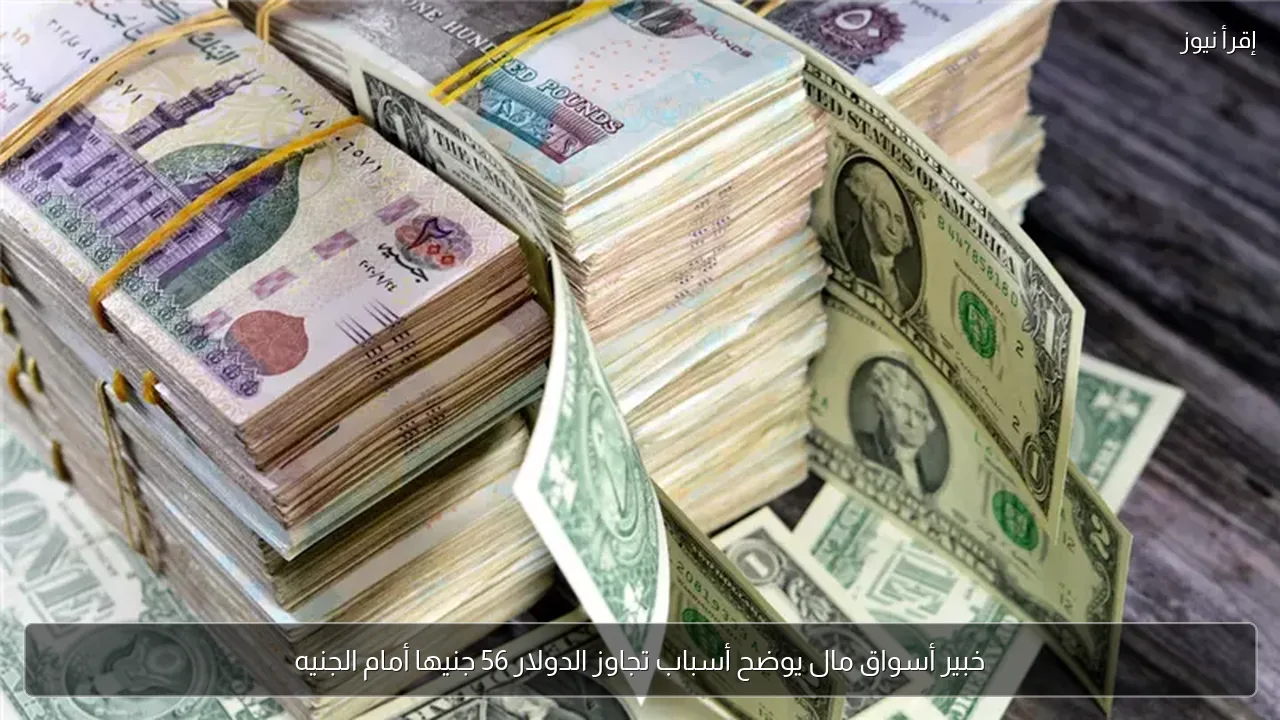 خبير أسواق مال يوضح أسباب تجاوز الدولار 56 جنيها أمام الجنيه