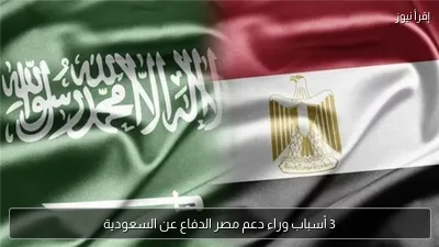 3 أسباب وراء دعم مصر الدفاع عن السعودية