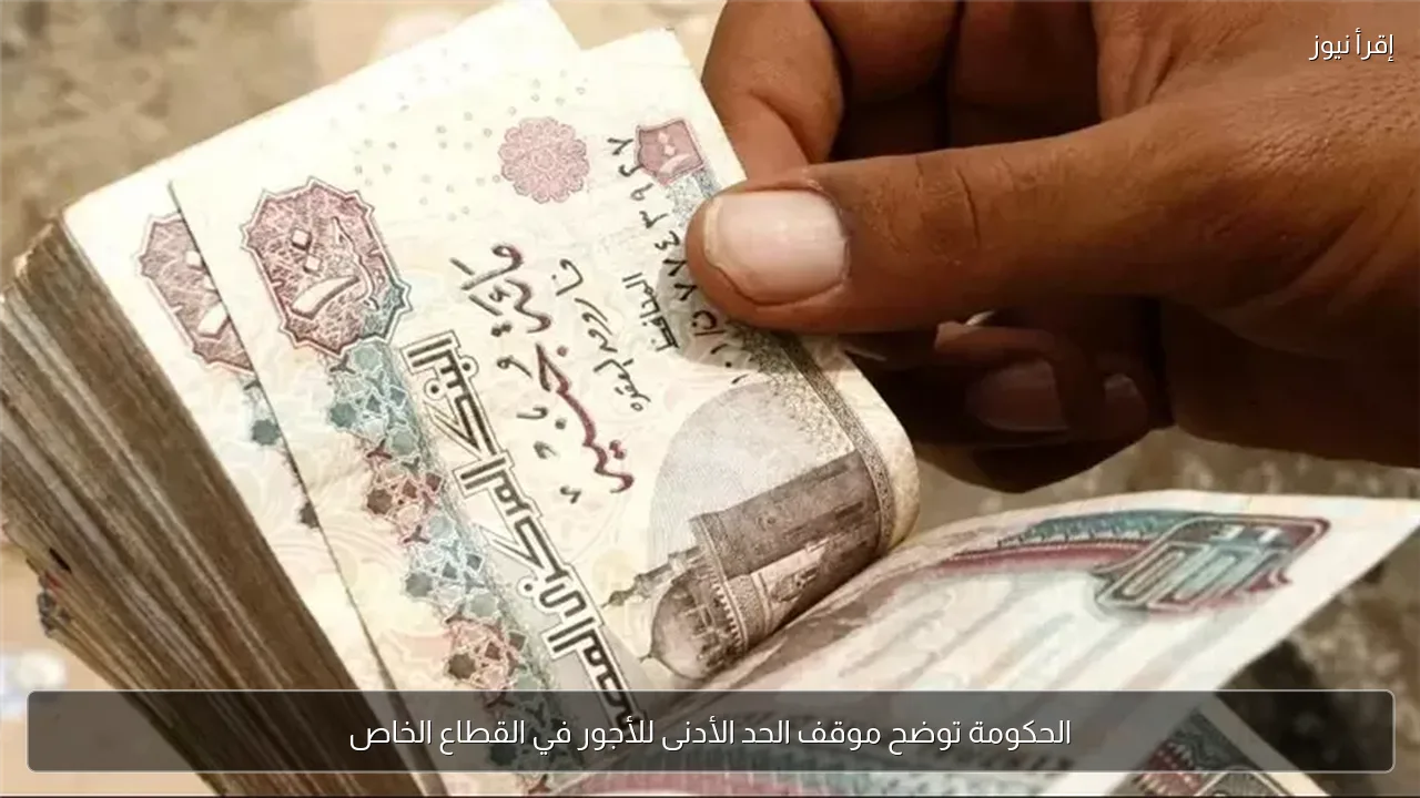 الحكومة توضح موقف الحد الأدنى للأجور في القطاع الخاص
