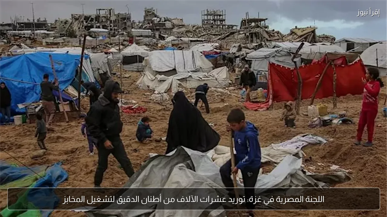 اللجنة المصرية في غزة: توريد عشرات الآلاف من أطنان الدقيق لتشغيل المخابز