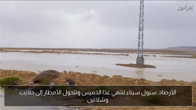 الأرصاد: سيول سيناء تنتهي غدًا الخميس وتتحول الأمطار إلى حلايب وشلاتين