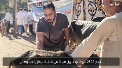 علاج 2392 حيوانًا وطائرًا مجانًا في قافلة بيطرية بسوهاج