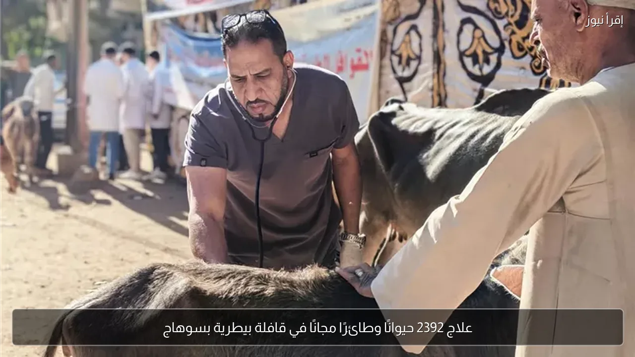 علاج 2392 حيوانًا وطائرًا مجانًا في قافلة بيطرية بسوهاج