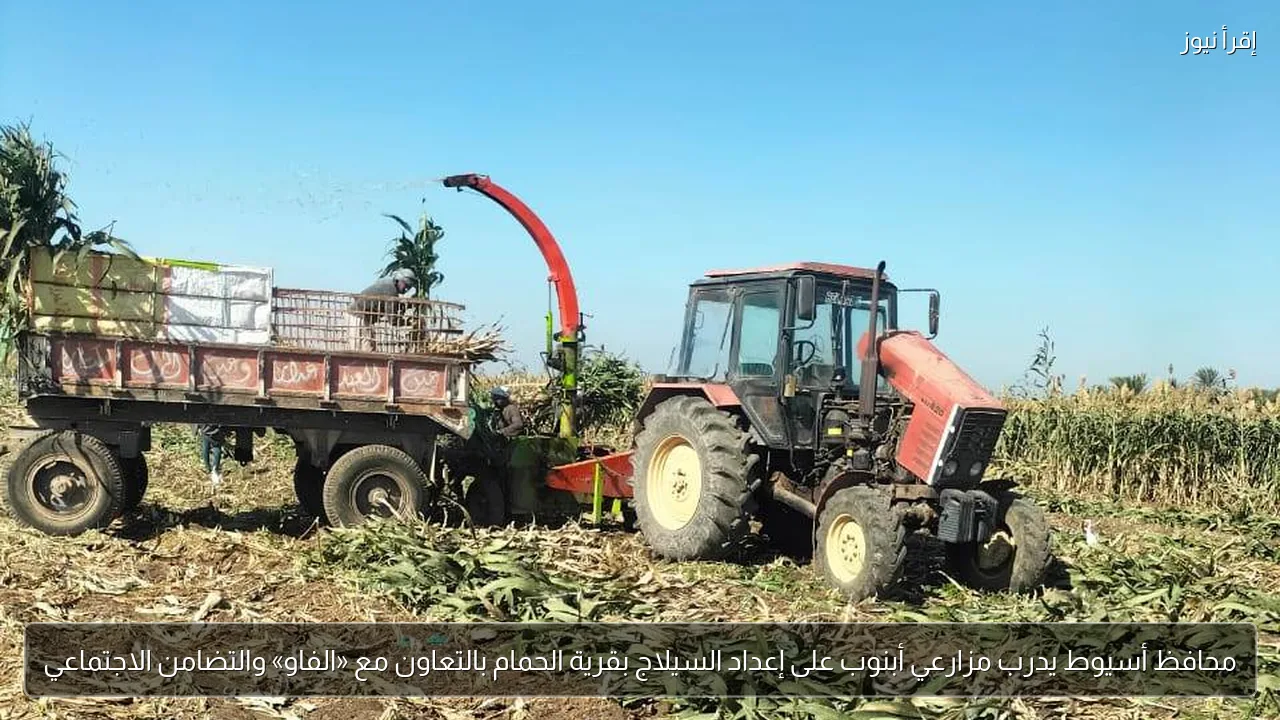 محافظ أسيوط يدرب مزارعي أبنوب على إعداد السيلاج بقرية الحمام بالتعاون مع «الفاو» والتضامن الاجتماعي