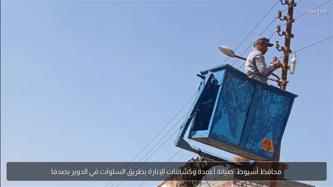 محافظ أسيوط: صيانة أعمدة وكشافات الإنارة بطريق السلوات في الدوير بصدفا