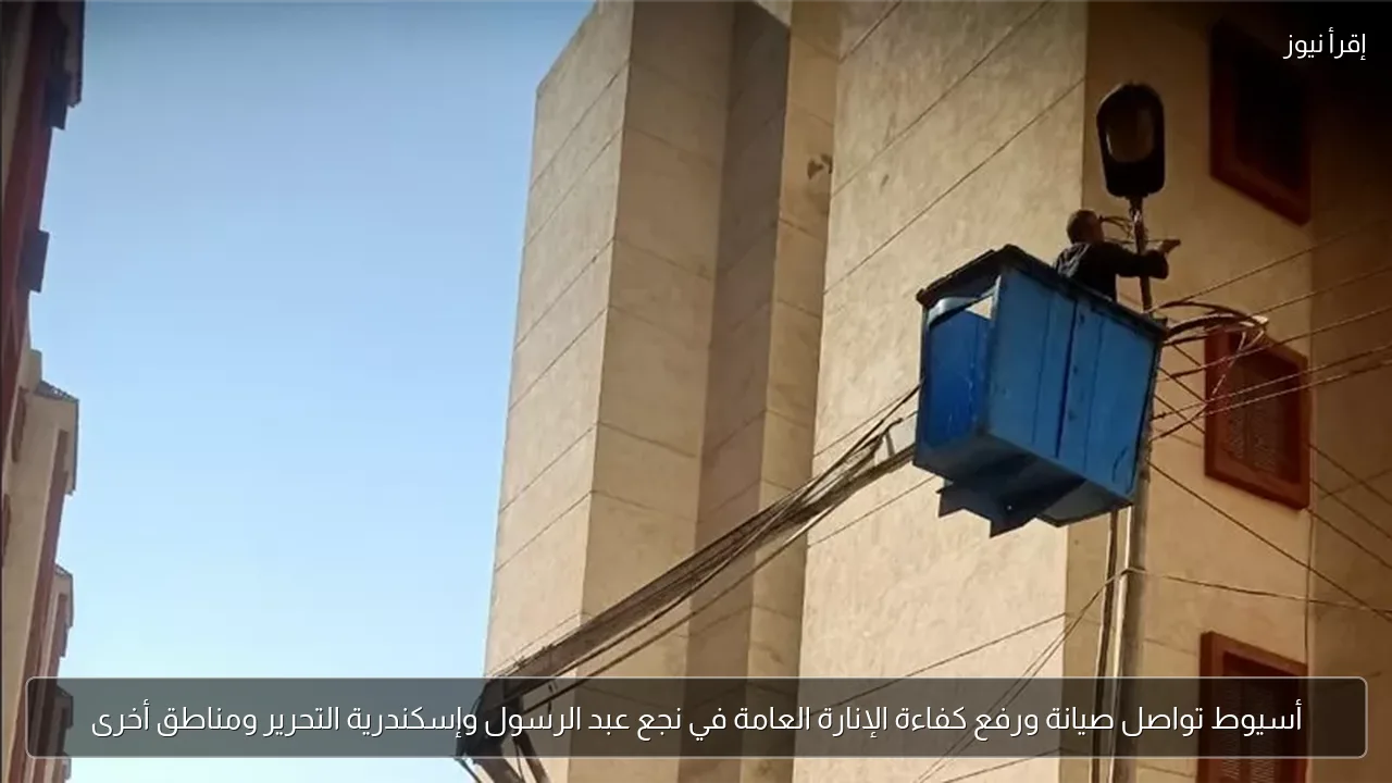 أسيوط تواصل صيانة ورفع كفاءة الإنارة العامة في نجع عبد الرسول وإسكندرية التحرير ومناطق أخرى
