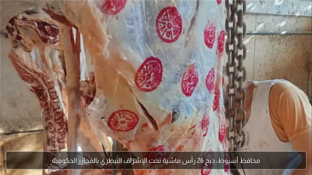 محافظ أسيوط: ذبح 26 رأس ماشية تحت الإشراف البيطري بالمجازر الحكومية