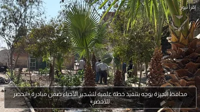 محافظ الجيزة يوجه بتنفيذ خطة علمية لتشجير الأحياء ضمن مبادرة «اتحضر للأخضر»
