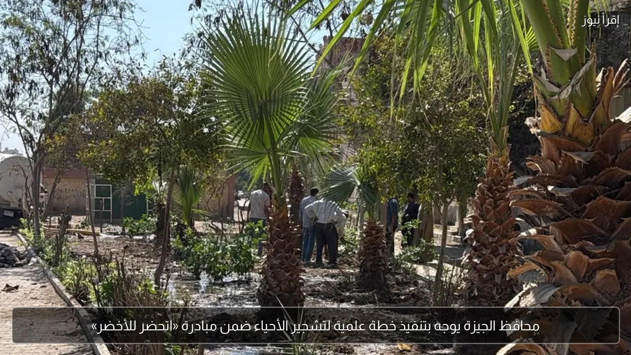 محافظ الجيزة يوجه بتنفيذ خطة علمية لتشجير الأحياء ضمن مبادرة «اتحضر للأخضر»