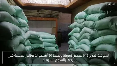 المنوفية: تحرير 648 محضرًا تموينيًا وضبط 80 أسطوانة بوتاجاز مدعمة قبل بيعها بالسوق السوداء