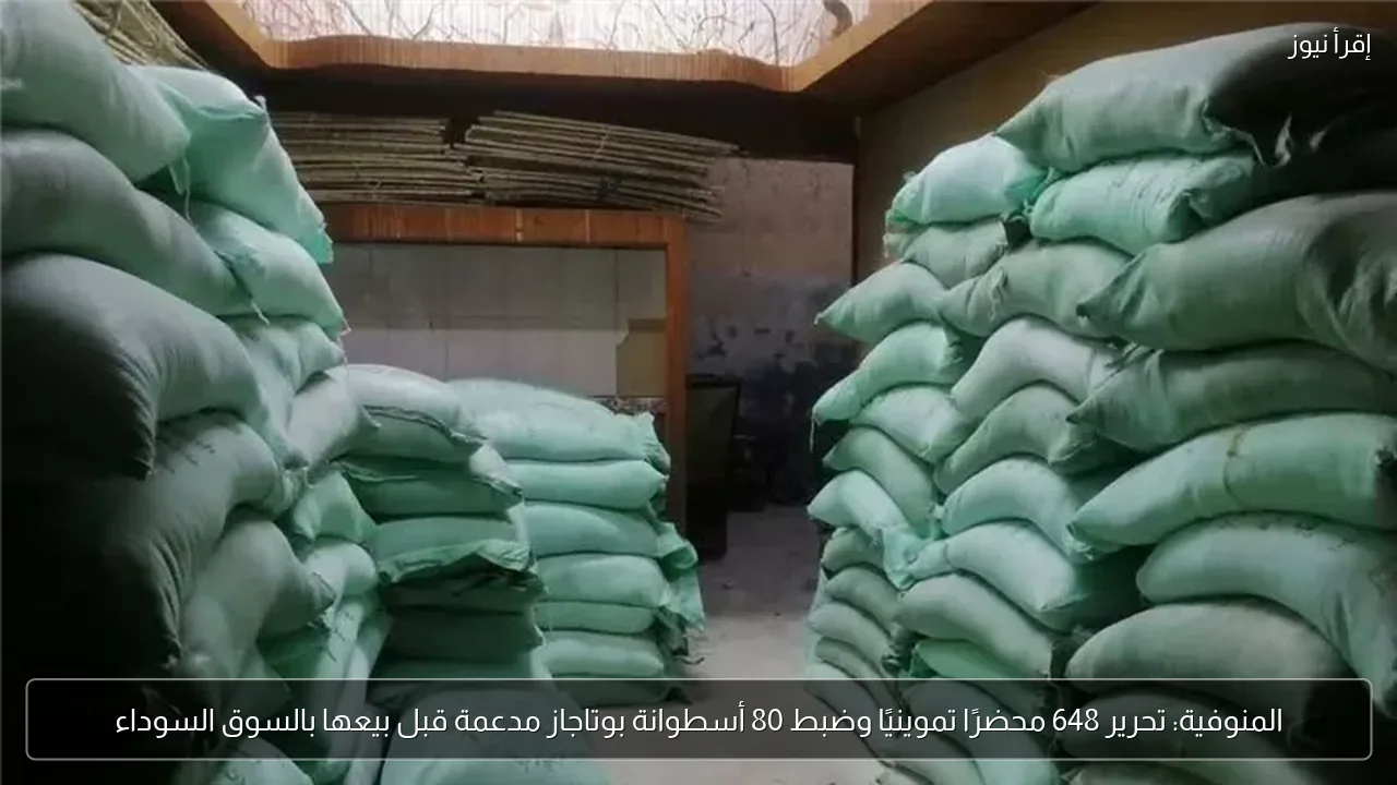 المنوفية: تحرير 648 محضرًا تموينيًا وضبط 80 أسطوانة بوتاجاز مدعمة قبل بيعها بالسوق السوداء