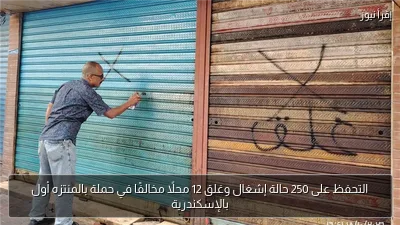 التحفظ على 250 حالة إشغال وغلق 12 محلًا مخالفًا في حملة بالمنتزه أول بالإسكندرية