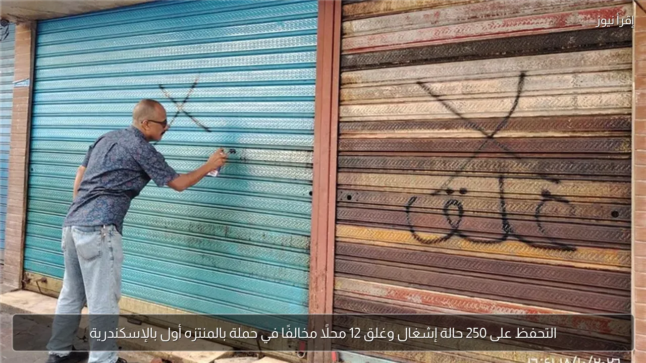التحفظ على 250 حالة إشغال وغلق 12 محلًا مخالفًا في حملة بالمنتزه أول بالإسكندرية