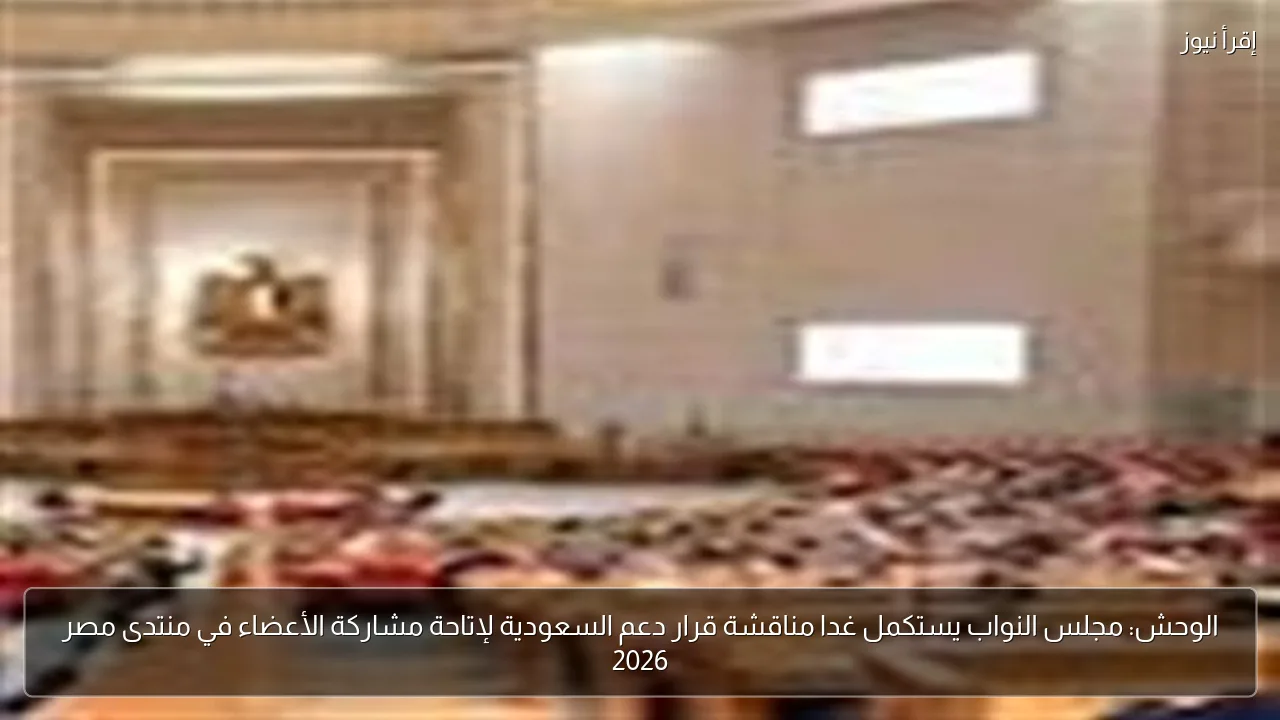 الوحش: مجلس النواب يستكمل غدا مناقشة قرار دعم السعودية لإتاحة مشاركة الأعضاء في منتدى مصر 2026