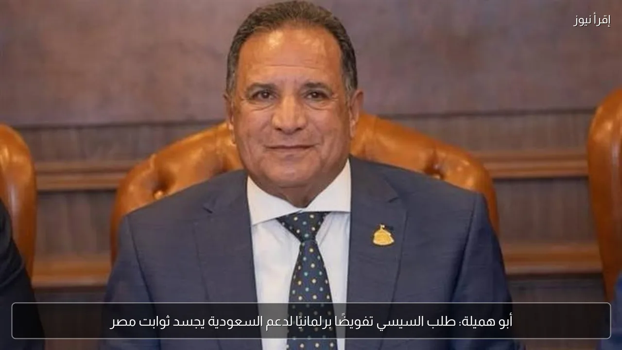 أبو هميلة: طلب السيسي تفويضًا برلمانيًا لدعم السعودية يجسد ثوابت مصر