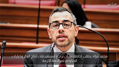 محمد فؤاد يطلب إحاطة بشأن تراجع مستهدفات إنتاج الغاز وخيارات الحكومة لمواجهة الأزمة