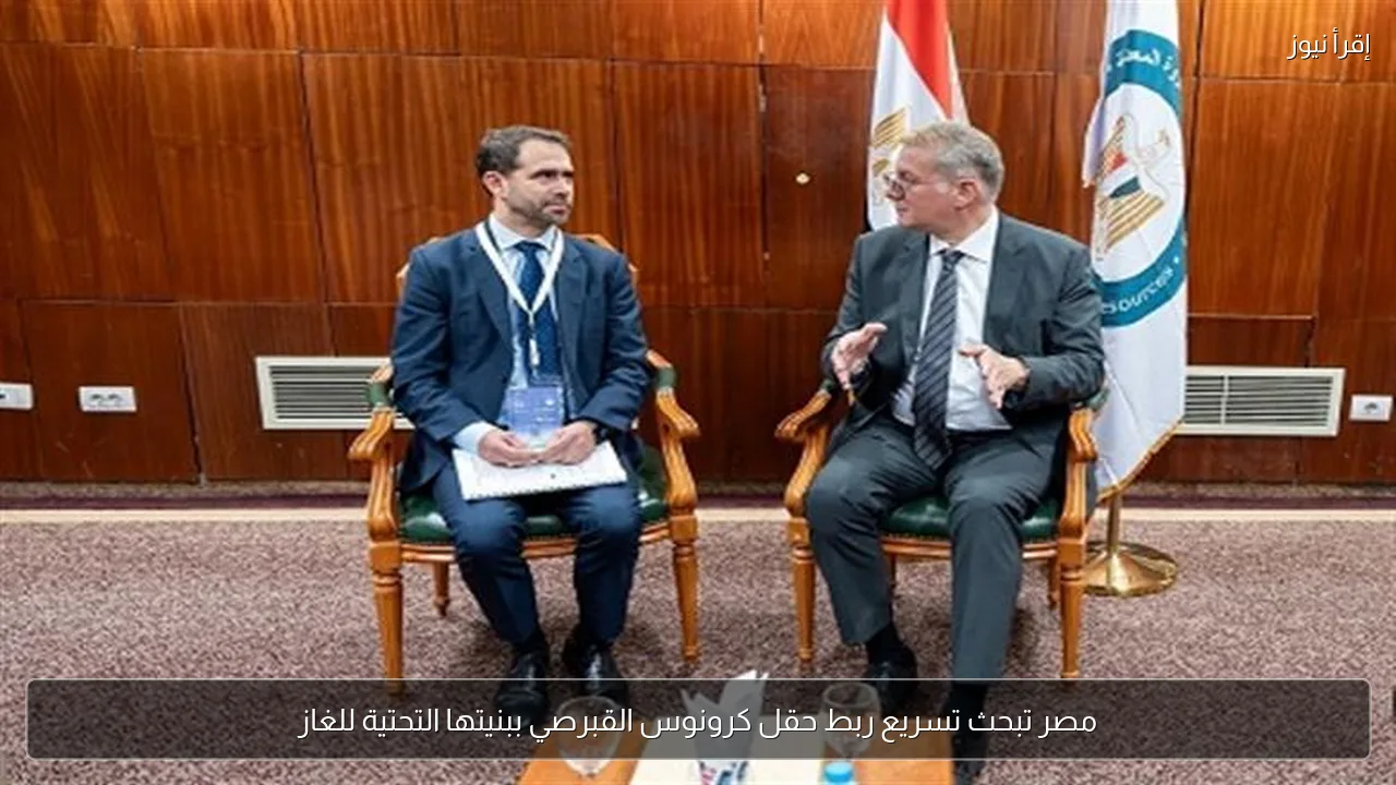 مصر تبحث تسريع ربط حقل كرونوس القبرصي ببنيتها التحتية للغاز