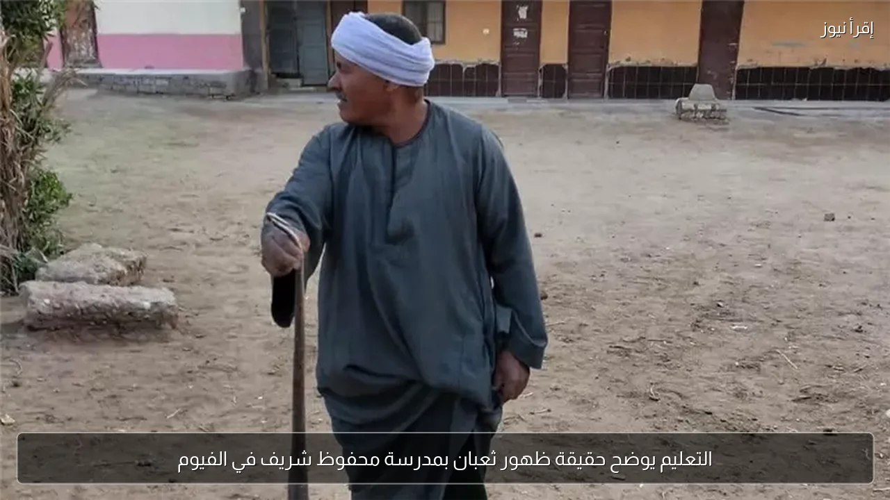 التعليم يوضح حقيقة ظهور ثعبان بمدرسة محفوظ شريف في الفيوم