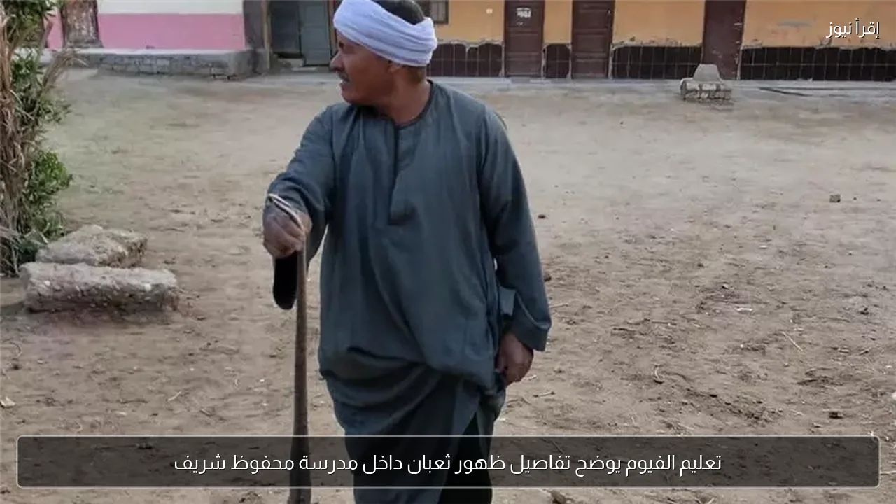 تعليم الفيوم يوضح تفاصيل ظهور ثعبان داخل مدرسة محفوظ شريف