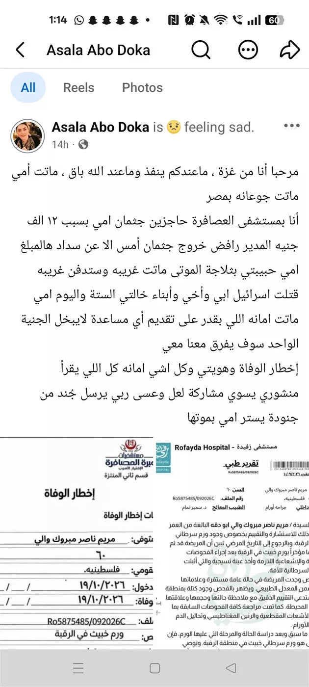 المنشور المتداول 