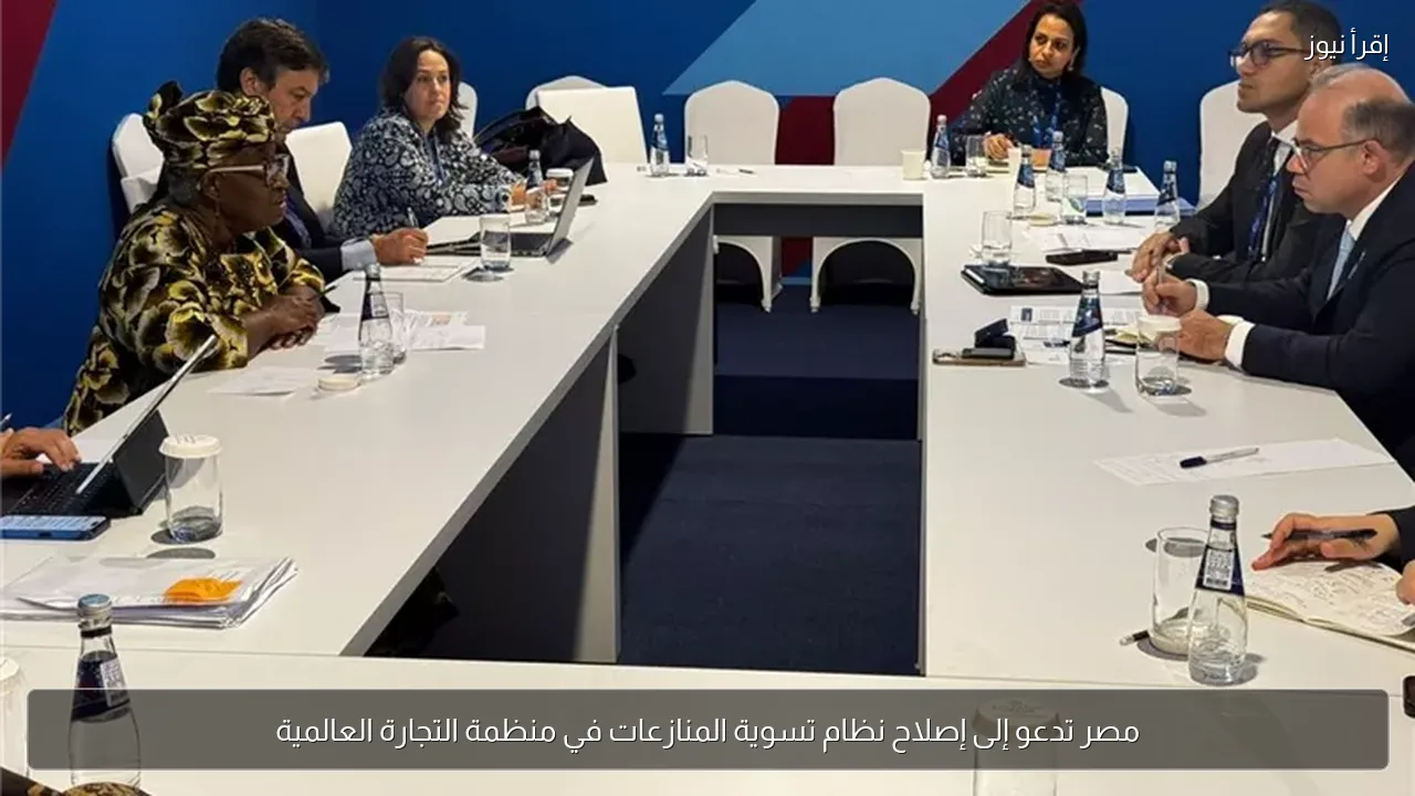 مصر تدعو إلى إصلاح نظام تسوية المنازعات في منظمة التجارة العالمية