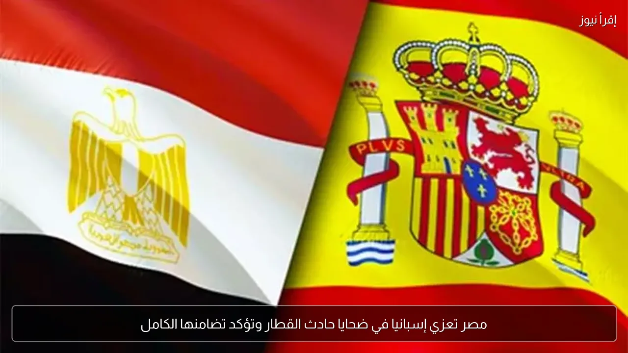 مصر تعزي إسبانيا في ضحايا حادث القطار وتؤكد تضامنها الكامل