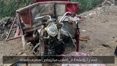 مصرع 3 وإصابة 4 في انقلاب ميكروباص بمصرف بالمحلة