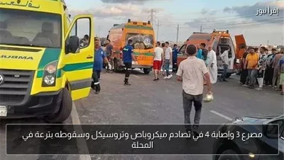مصرع 3 وإصابة 4 في تصادم ميكروباص وتروسيكل وسقوطه بترعة في المحلة