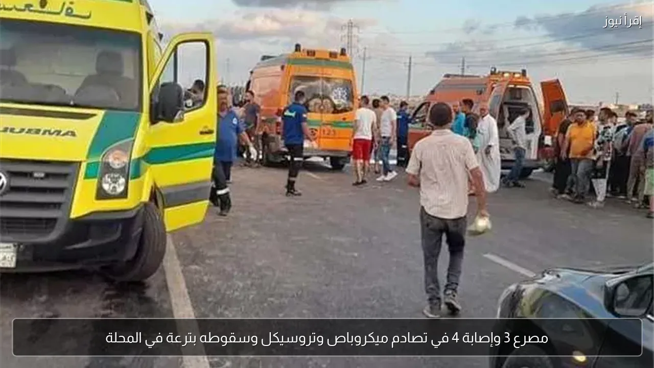 مصرع 3 وإصابة 4 في تصادم ميكروباص وتروسيكل وسقوطه بترعة في المحلة