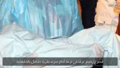 مصرع رضيع غرقًا في ترعة أمام منزله بقرية طنامل بالدقهلية