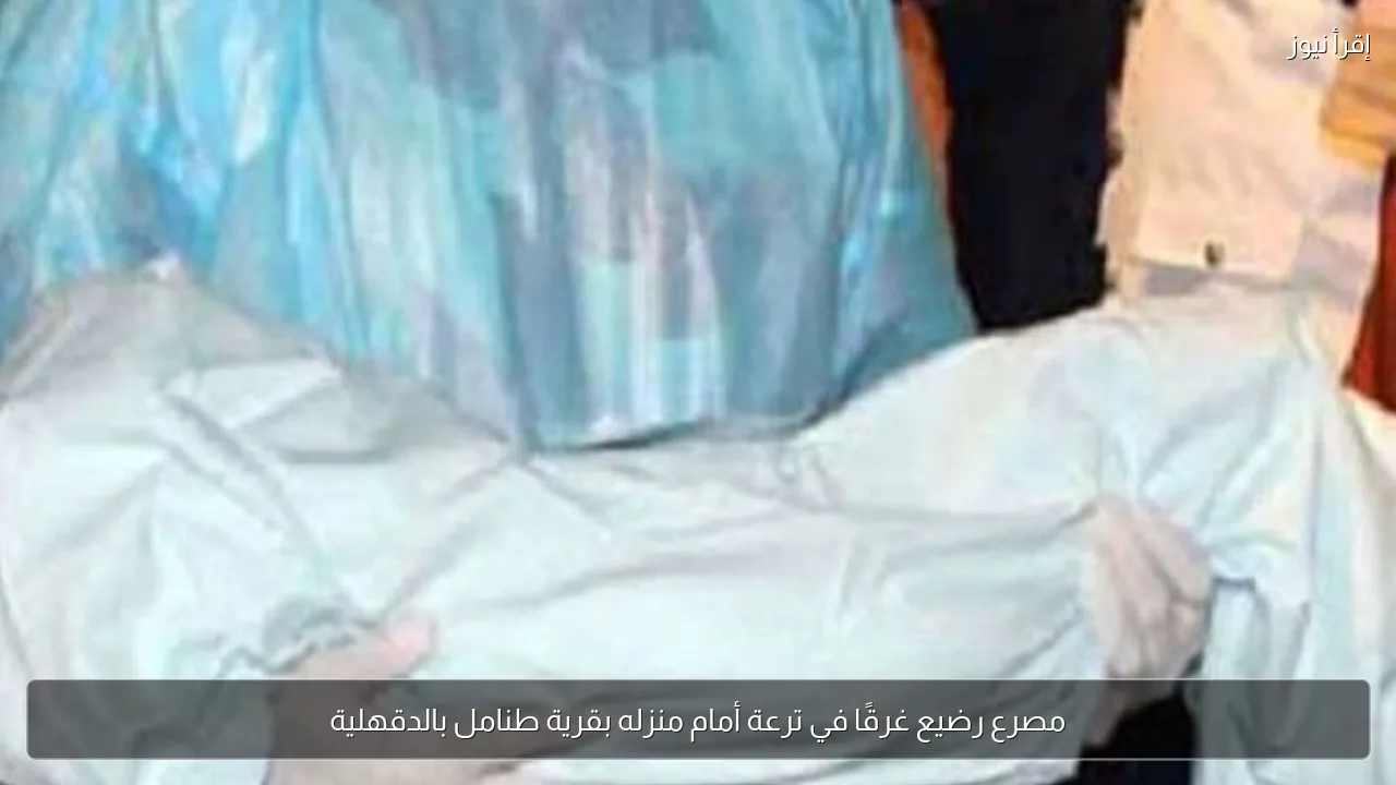 مصرع رضيع غرقًا في ترعة أمام منزله بقرية طنامل بالدقهلية