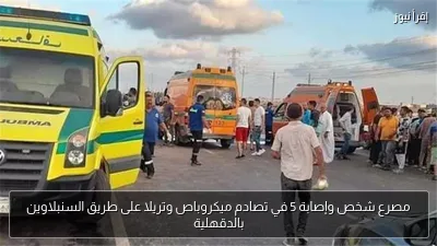 مصرع شخص وإصابة 5 في تصادم ميكروباص وتريلا على طريق السنبلاوين بالدقهلية