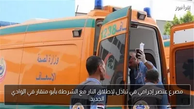 مصرع عنصر إجرامي في تبادل لإطلاق النار مع الشرطة بأبو منقار في الوادي الجديد