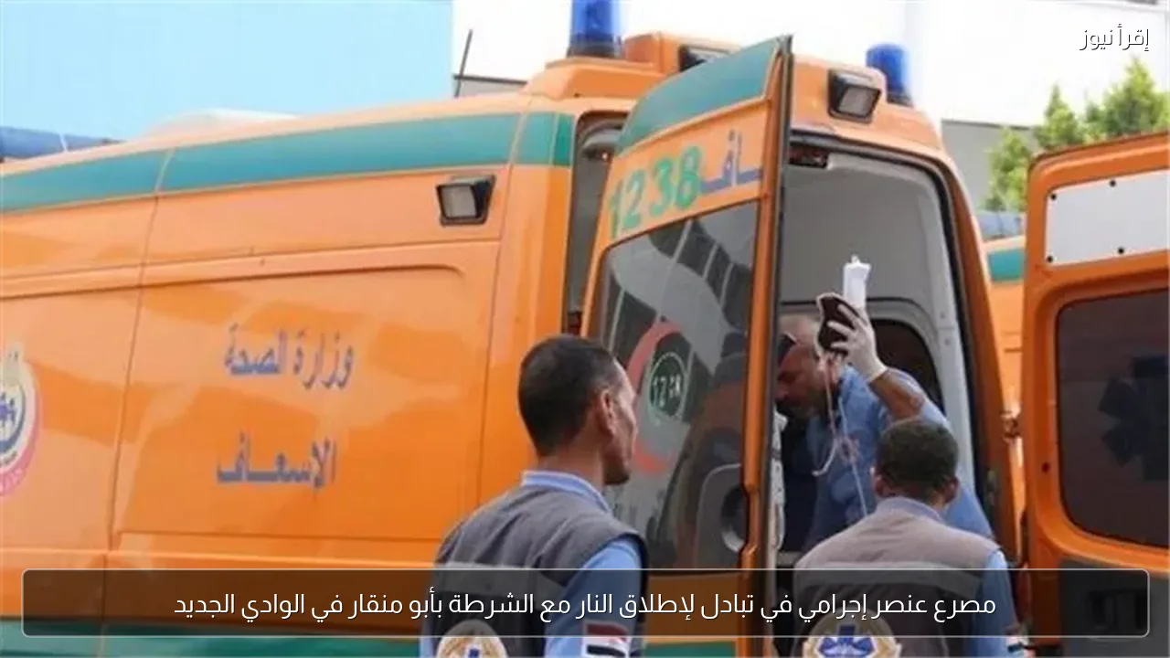 مصرع عنصر إجرامي في تبادل لإطلاق النار مع الشرطة بأبو منقار في الوادي الجديد