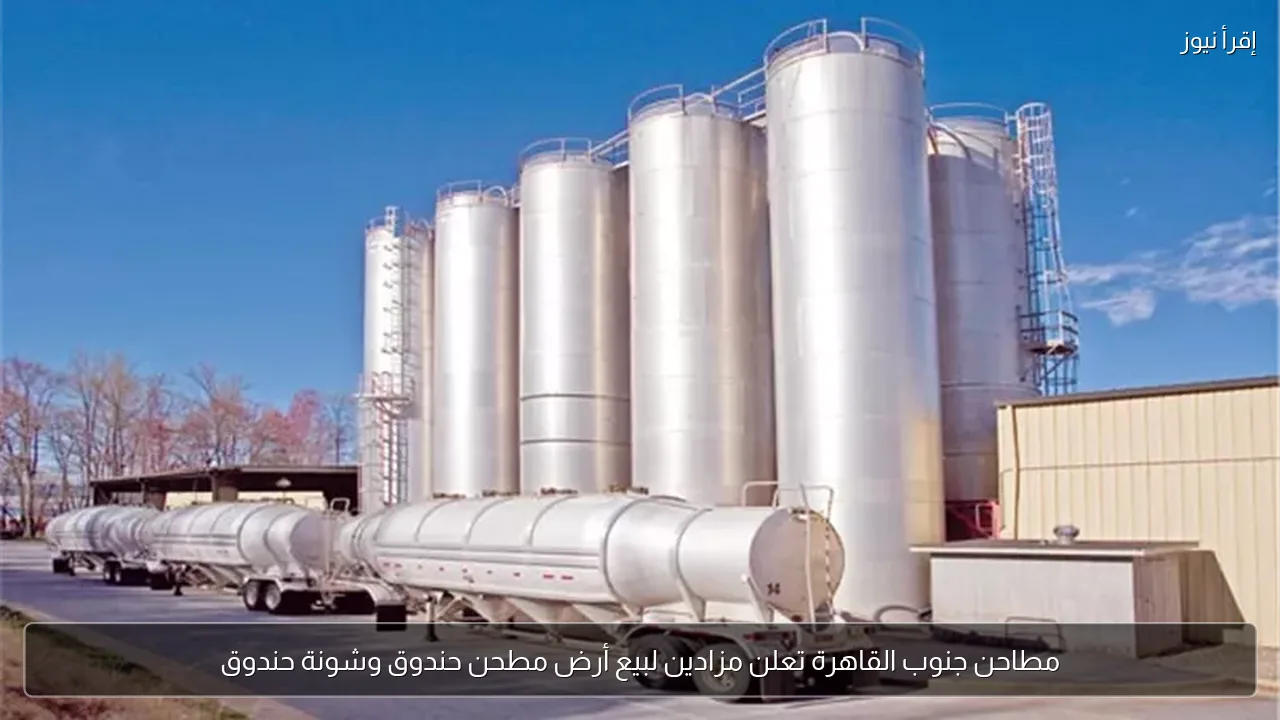 مطاحن جنوب القاهرة تعلن مزادين لبيع أرض مطحن حندوق وشونة حندوق