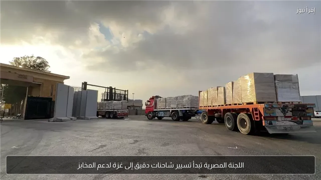 اللجنة المصرية تبدأ تسيير شاحنات دقيق إلى غزة لدعم المخابز