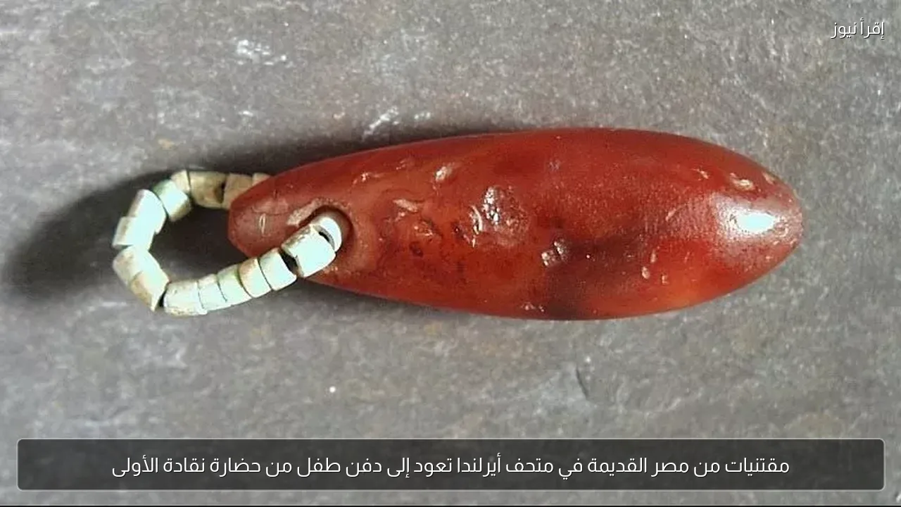 مقتنيات من مصر القديمة في متحف أيرلندا تعود إلى دفن طفل من حضارة نقادة الأولى