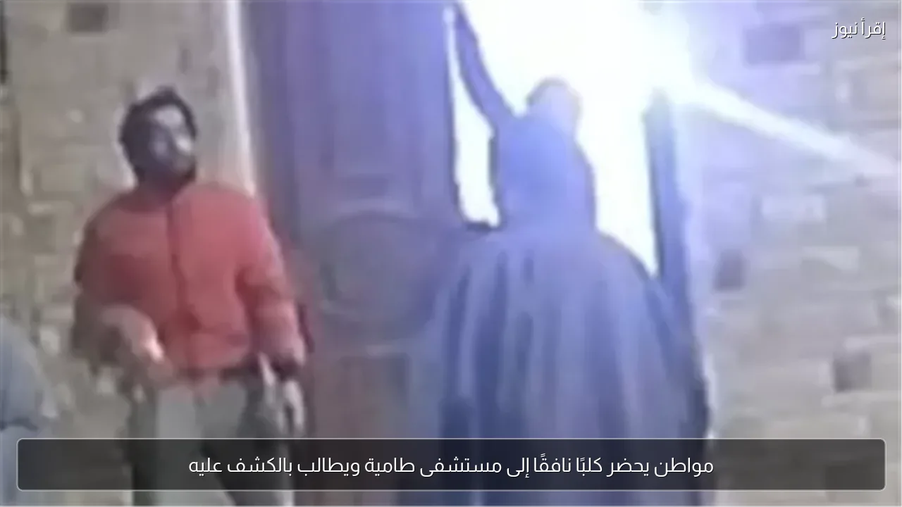 مواطن يحضر كلبًا نافقًا إلى مستشفى طامية ويطالب بالكشف عليه