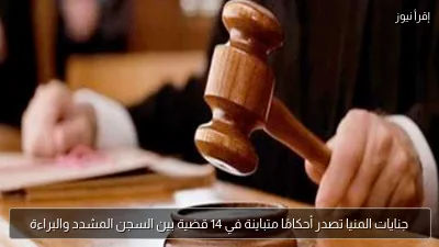 جنايات المنيا تصدر أحكامًا متباينة في 14 قضية بين السجن المشدد والبراءة