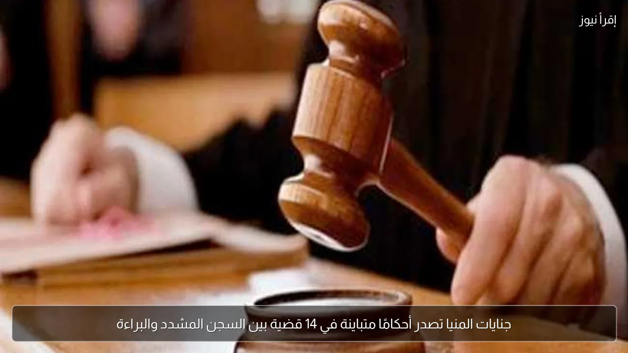 جنايات المنيا تصدر أحكامًا متباينة في 14 قضية بين السجن المشدد والبراءة