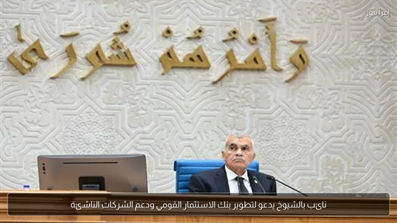 نائب بالشيوخ يدعو لتطوير بنك الاستثمار القومي ودعم الشركات الناشئة