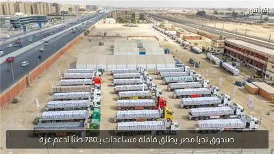 صندوق تحيا مصر يطلق قافلة مساعدات بـ780 طنًا لدعم غزة