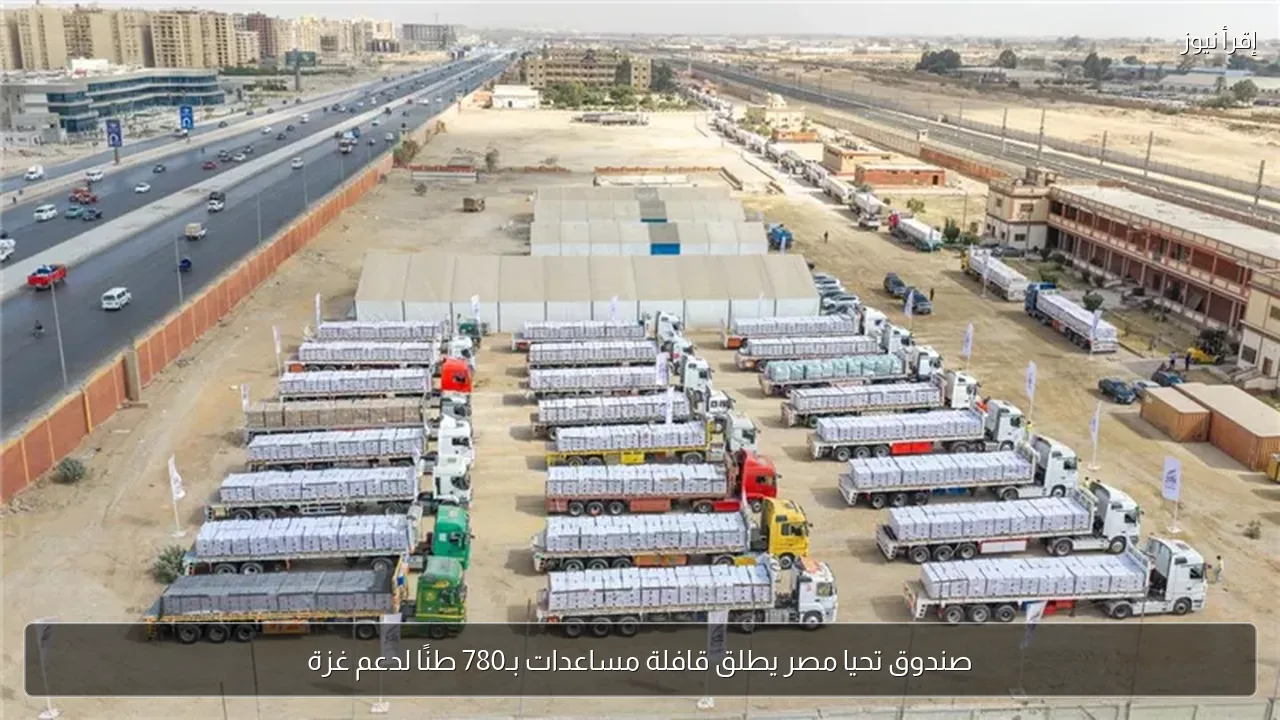 صندوق تحيا مصر يطلق قافلة مساعدات بـ780 طنًا لدعم غزة