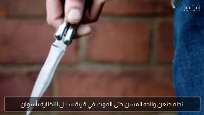 نجله طعن والده المسن حتى الموت في قرية سبيل النظارة بأسوان